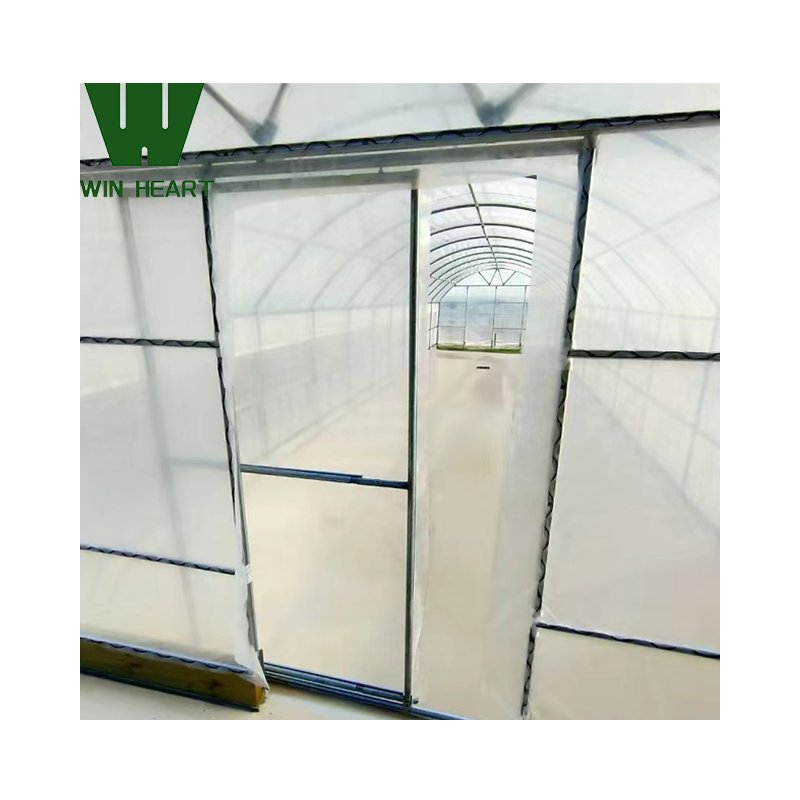 Win Heart Galvanized Structure single-span greenhouse for plants