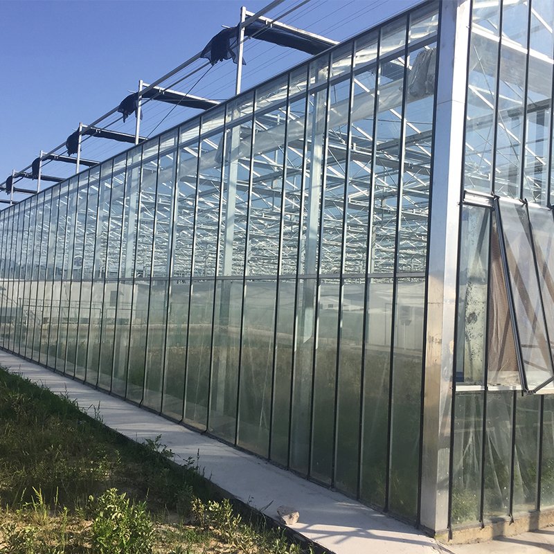 Venlo Glass Pc Sheet Large Vents PC Polycarbonate Sheet Green Houses Venlo Type Photovoltaic Solar Greenhouse Large