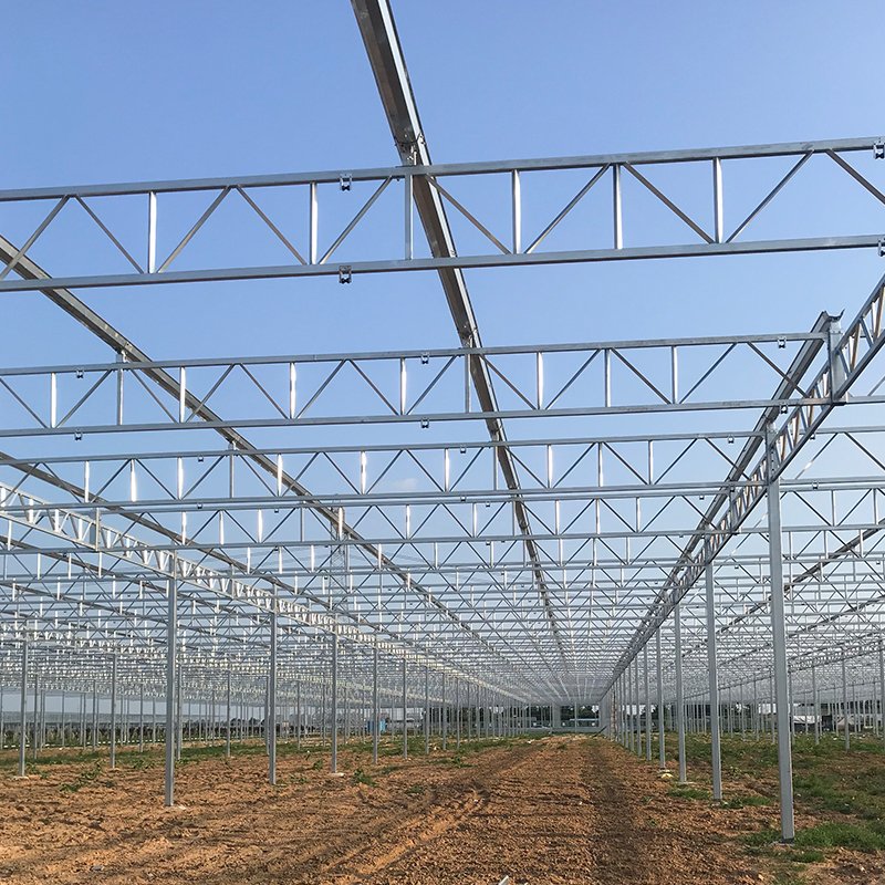 Venlo Glass Pc Sheet Large Vents PC Polycarbonate Sheet Green Houses Venlo Type Photovoltaic Solar Greenhouse Large
