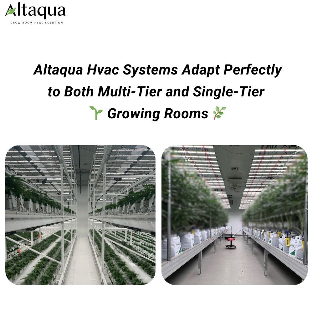 Vertical Grow Rack System For Vertical Farming Greenhouse