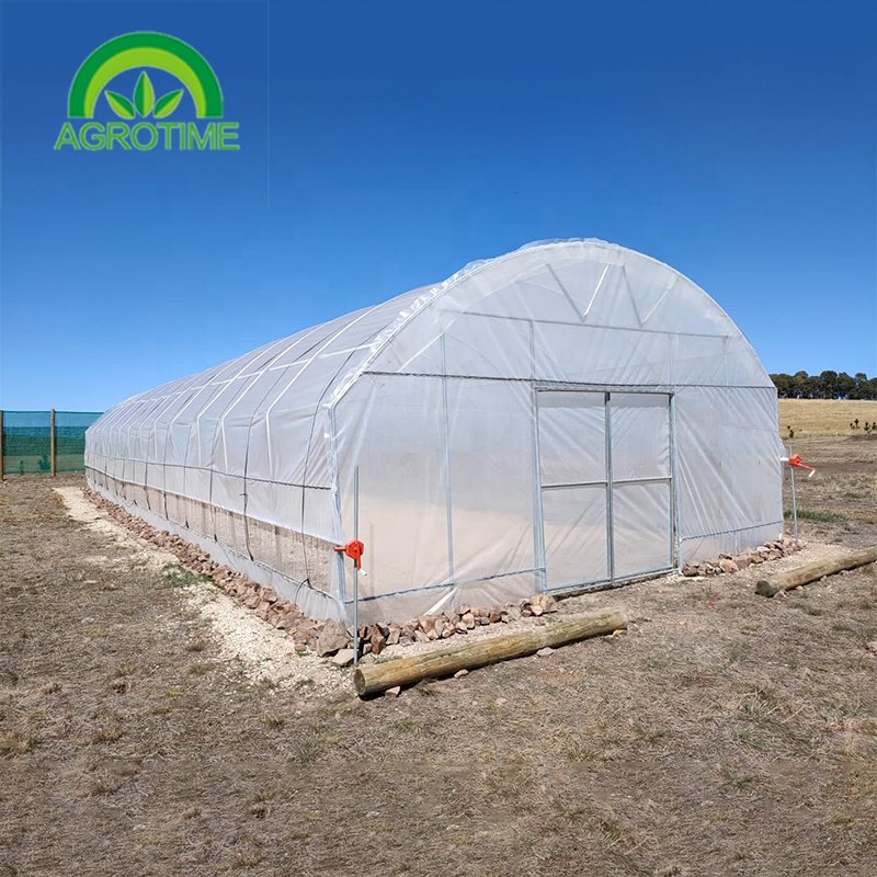 Turnkey Agricultural Multi Span Plastic Film Green House Strawberries Tomato Hydroponic Vertical Growing Systems Greenhouse