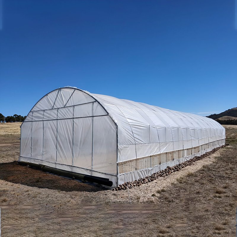 Turnkey Agricultural Multi Span Plastic Film Green House Strawberries Tomato Hydroponic Vertical Growing Systems Greenhouse