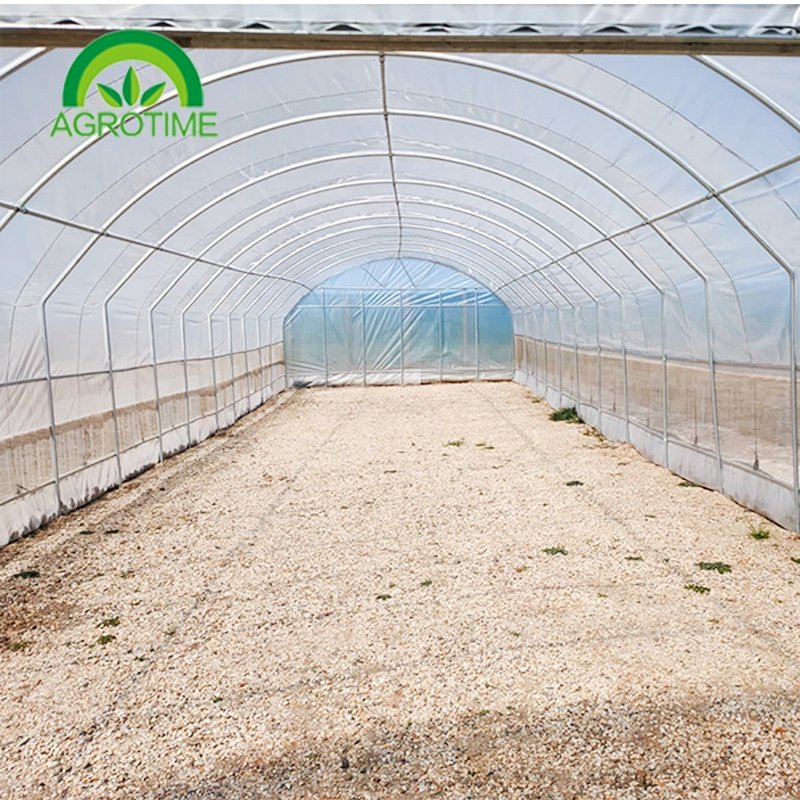 Turnkey Agricultural Multi Span Plastic Film Green House Strawberries Tomato Hydroponic Vertical Growing Systems Greenhouse