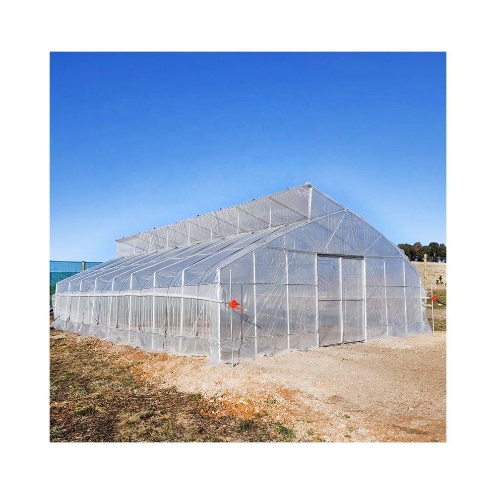 Turnkey Agricultural Multi Span Plastic Film Green House Strawberries Tomato Hydroponic Vertical Growing Systems Greenhouse