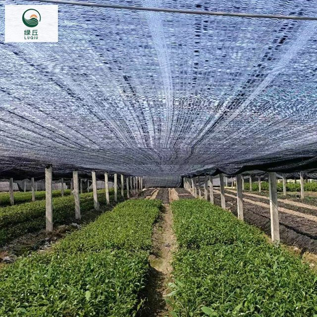 New material HDPE semi-shadow black greenhouse sunshade net for agriculture 35%-95% horticultural shade net Life span 5-10 years