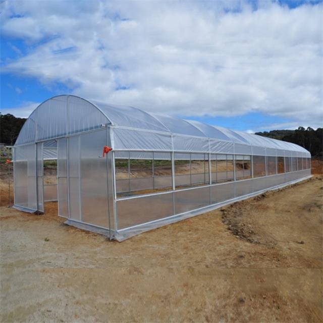 Skyplant Best-selling Garden Agricultural Greenhouse/sun Room/ Film Greenhouse - Buy Greenhouse