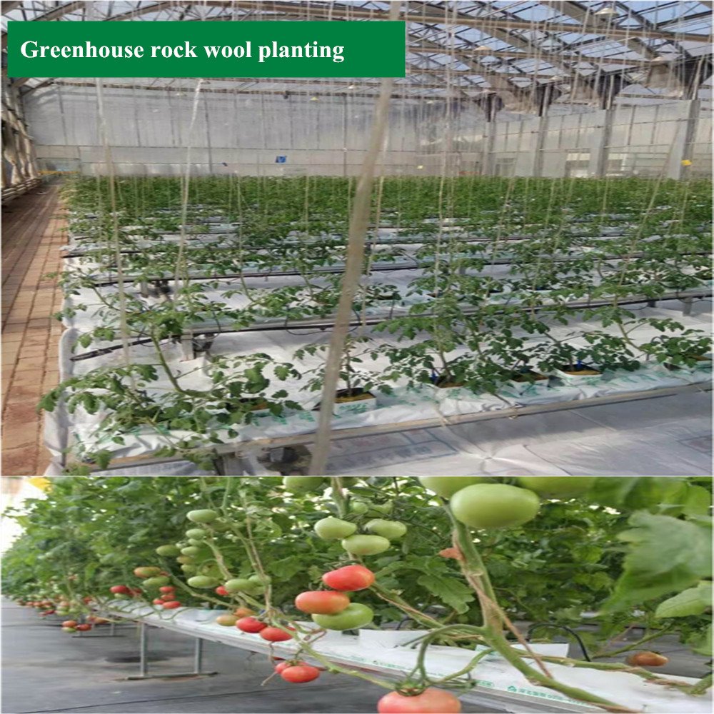 Hydroponic Agriculture Rock Wool for Planting 14x7x98 Cubes Small Size One Sheet for Agricultural Greenhouses