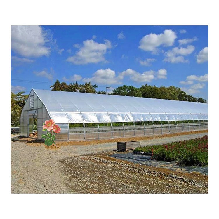 Good Quality And Easily Installed Tropical Agricultural Nursery Green House For Seedling Cultivation