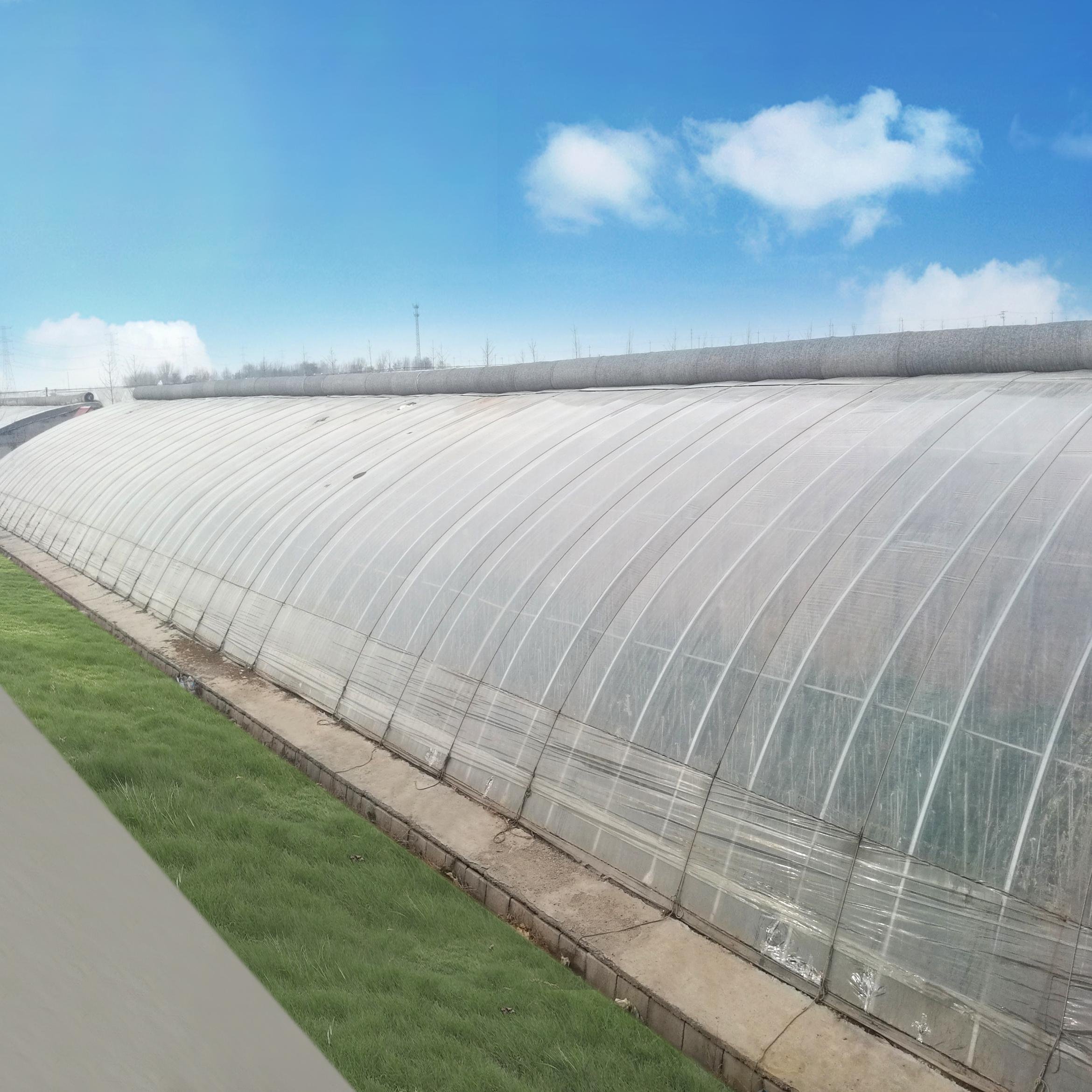 Canada Passive Solar Greenhouse With Soil/Earth/Brick Wall For Agriculture In Cold Winter