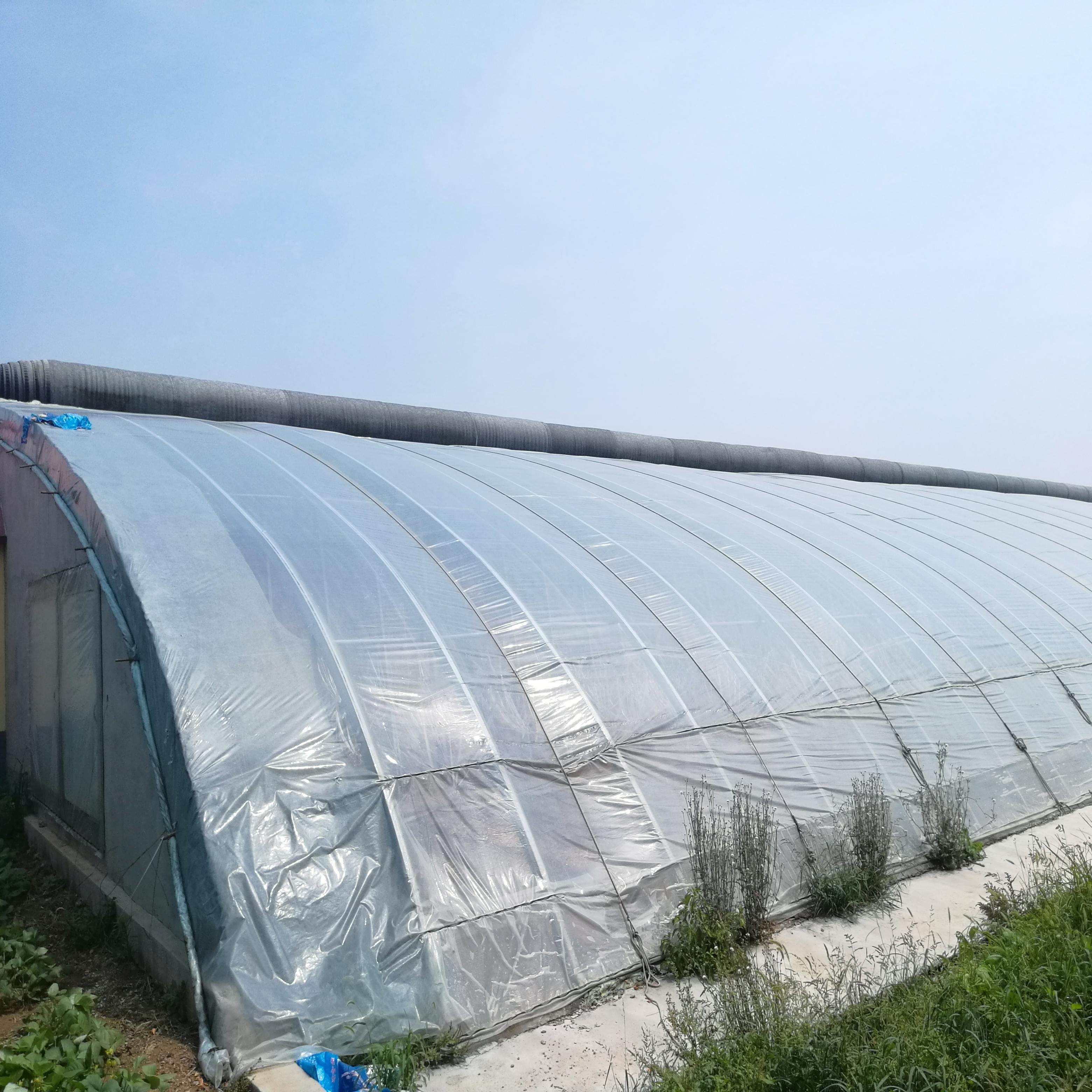 Canada Passive Solar Greenhouse With Soil/Earth/Brick Wall For Agriculture In Cold Winter