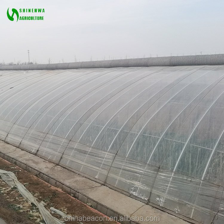 Canada Passive Solar Greenhouse With Soil/Earth/Brick Wall For Agriculture In Cold Winter