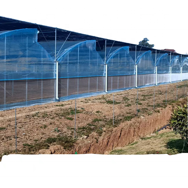 Sawtooth Agricultural Greenhouse for Effective Crop Production