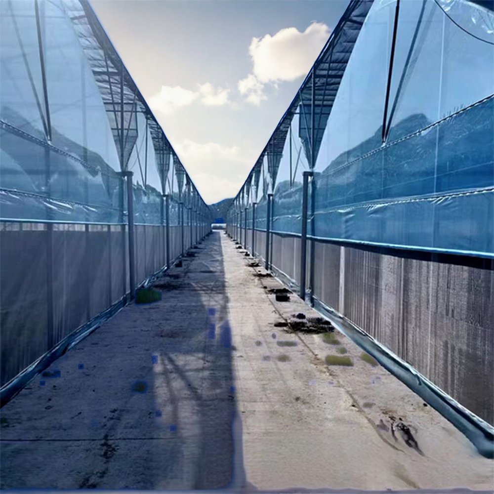 Sawtooth Agricultural Greenhouse for Effective Crop Production