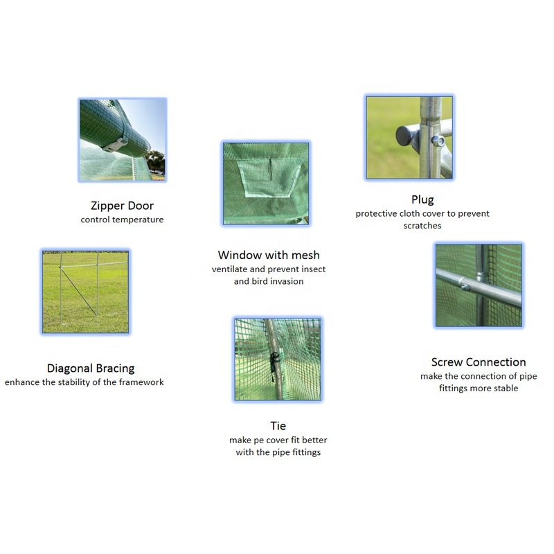 Single-Span Agricultural Greenhouses for Garden Use