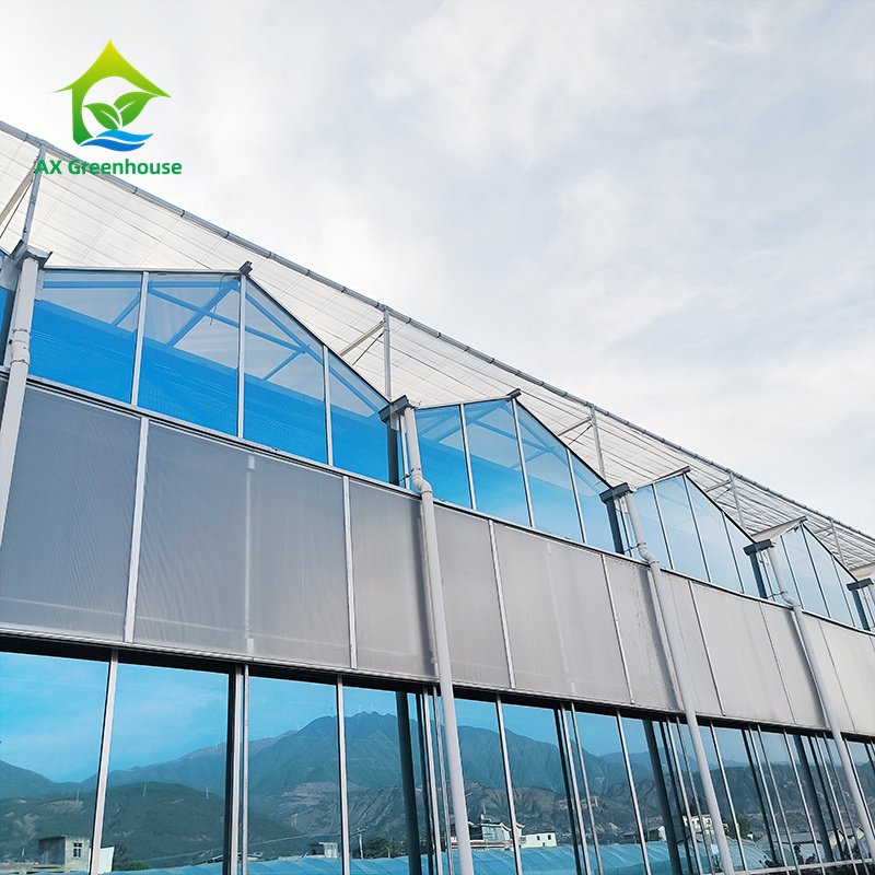 Modern Smart Agricultural Greenhouses Modern Multi-span Greenhouses Venlo Type Glass Green House With High Light-transmission