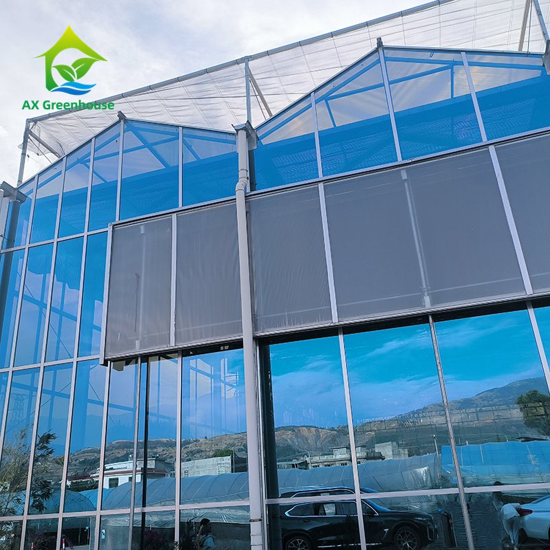 Modern Smart Agricultural Greenhouses Modern Multi-span Greenhouses Venlo Type Glass Green House With High Light-transmission