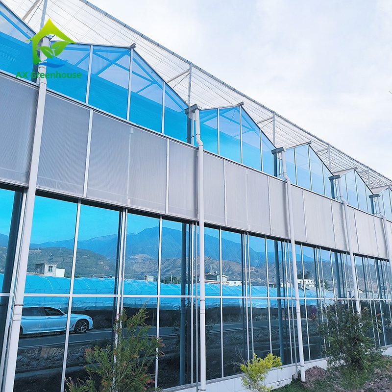 Modern Smart Agricultural Greenhouses Modern Multi-span Greenhouses Venlo Type Glass Green House With High Light-transmission