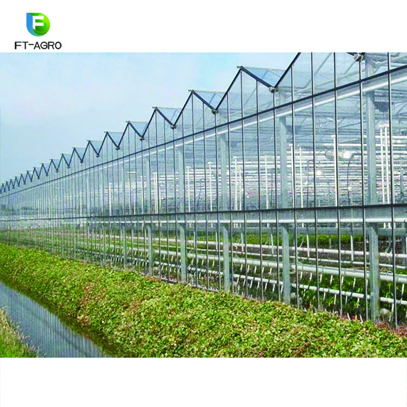 Agricultural or commercial glass greenhouse