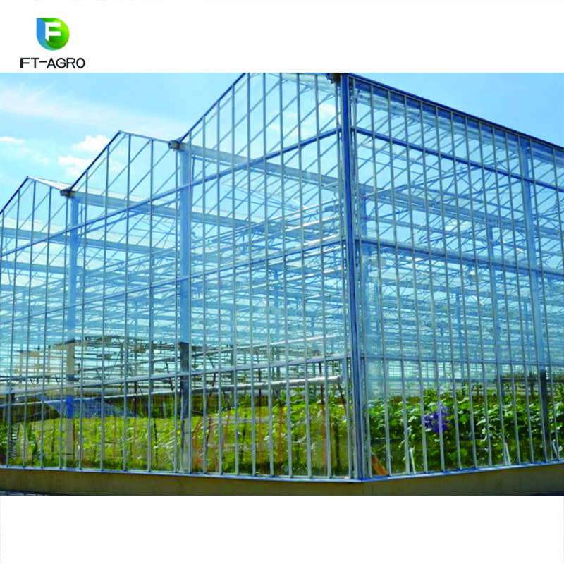 Agricultural or commercial glass greenhouse