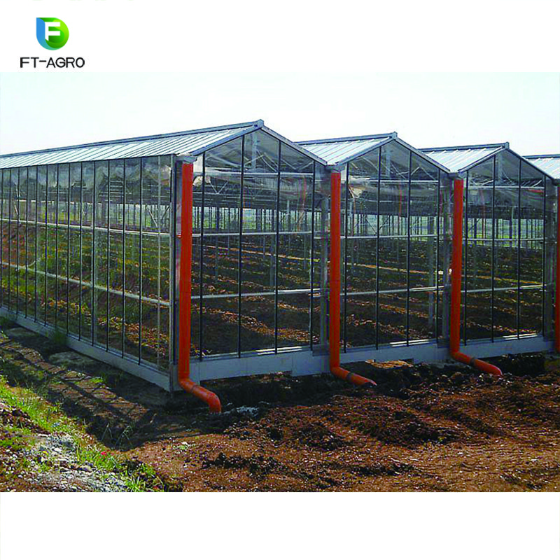 Agricultural or commercial glass greenhouse