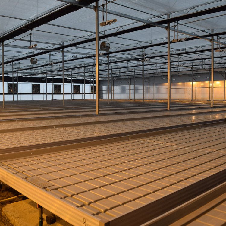 4x8ft Rolling Hydroponic ABS Flood Tray Steel Seedbed Greenhouse Warehouse Medical Plants Flowers Flood Tray Planting Growing