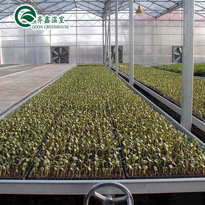 hot sale seedbed for irrigation in greenhouse