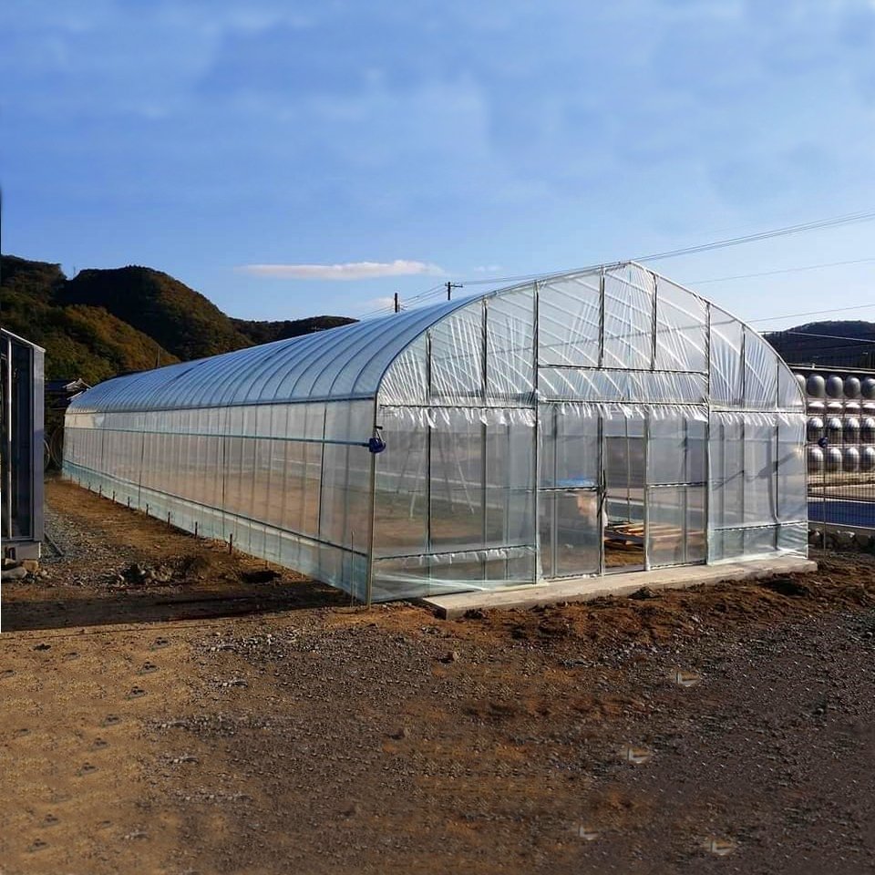 Shine-tech high tunnel agriculture greenhouse used for tomato hydroponic greenhouse for sale