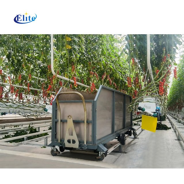 Single-Layer Greenhouse Metal Tomato Leaves Collecting Cart PP Material Hydroponic Feature Easily Assembled Service Equipment