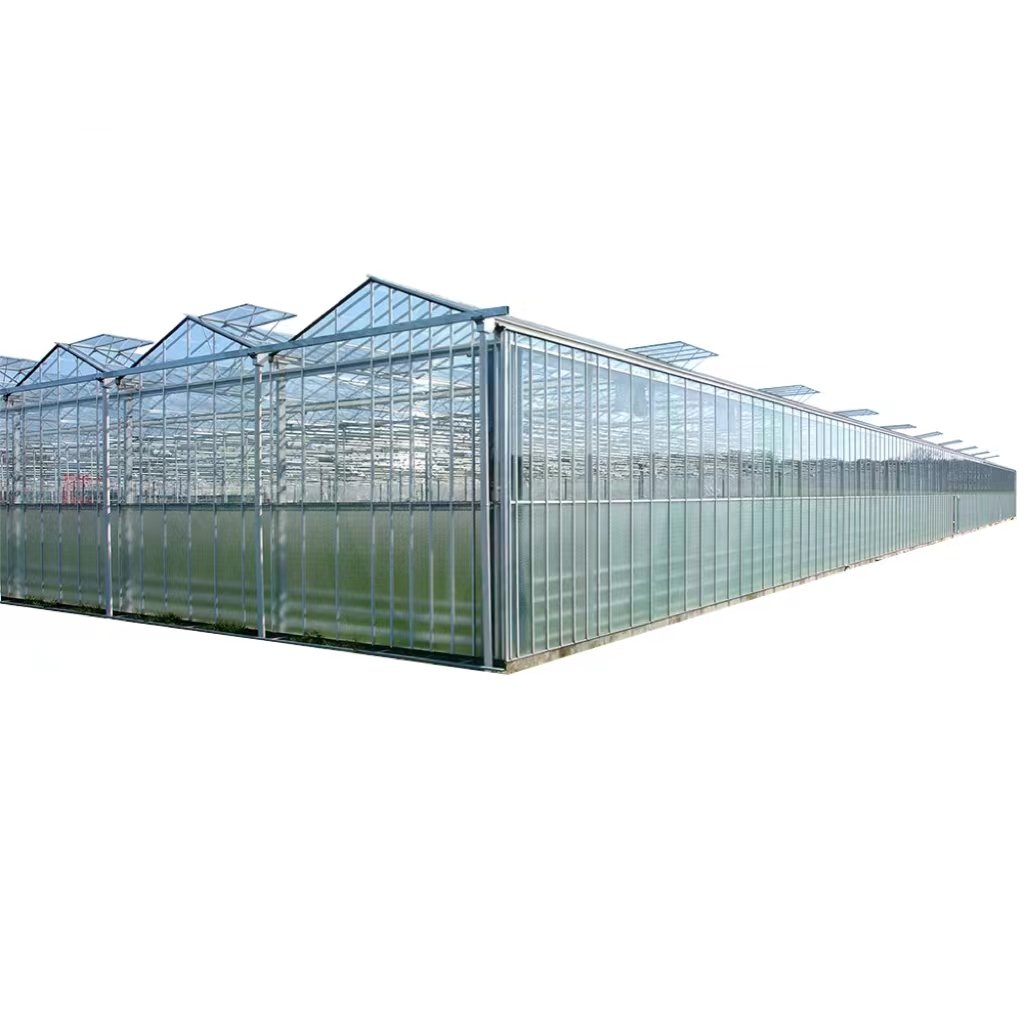 Smart Agricultural high efficient Glass Greenhouse Multi Span Commercial Greenhouse