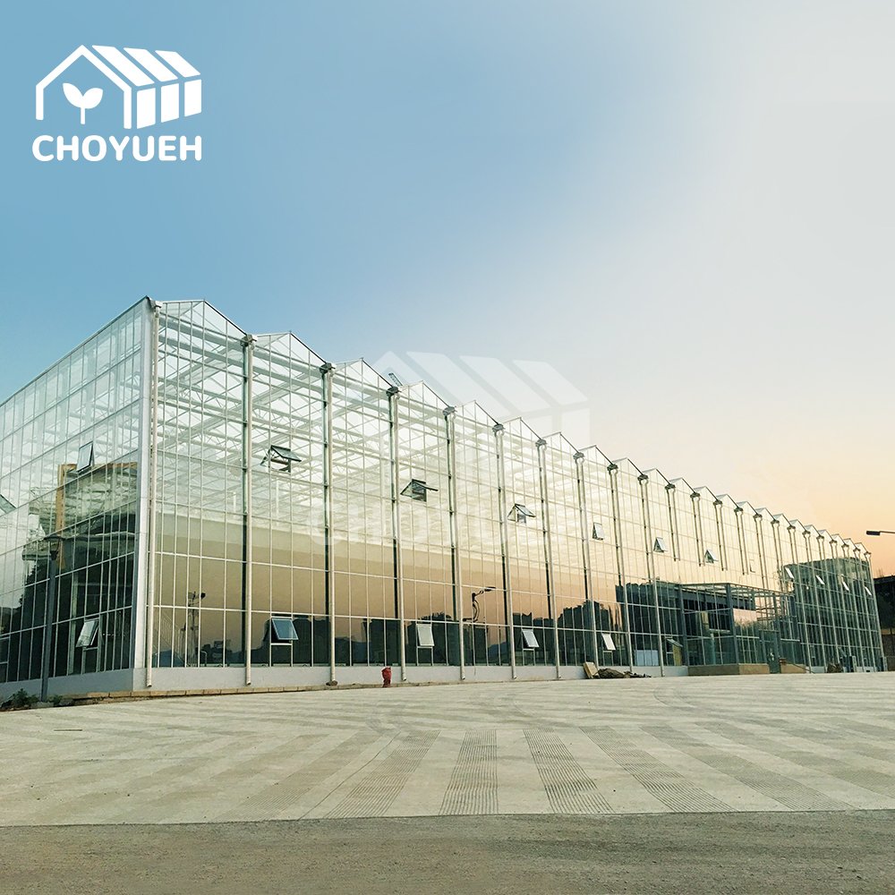 Smart Agricultural high efficient Glass Greenhouse Multi Span Commercial Greenhouse