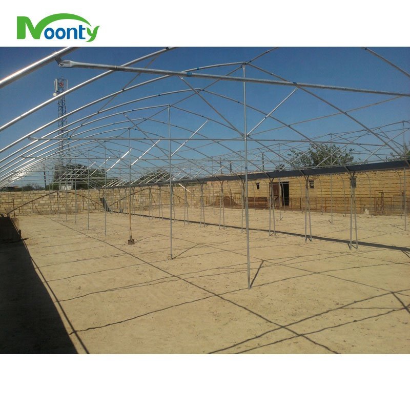 Economical Multi Span Agricultural Greenhouses