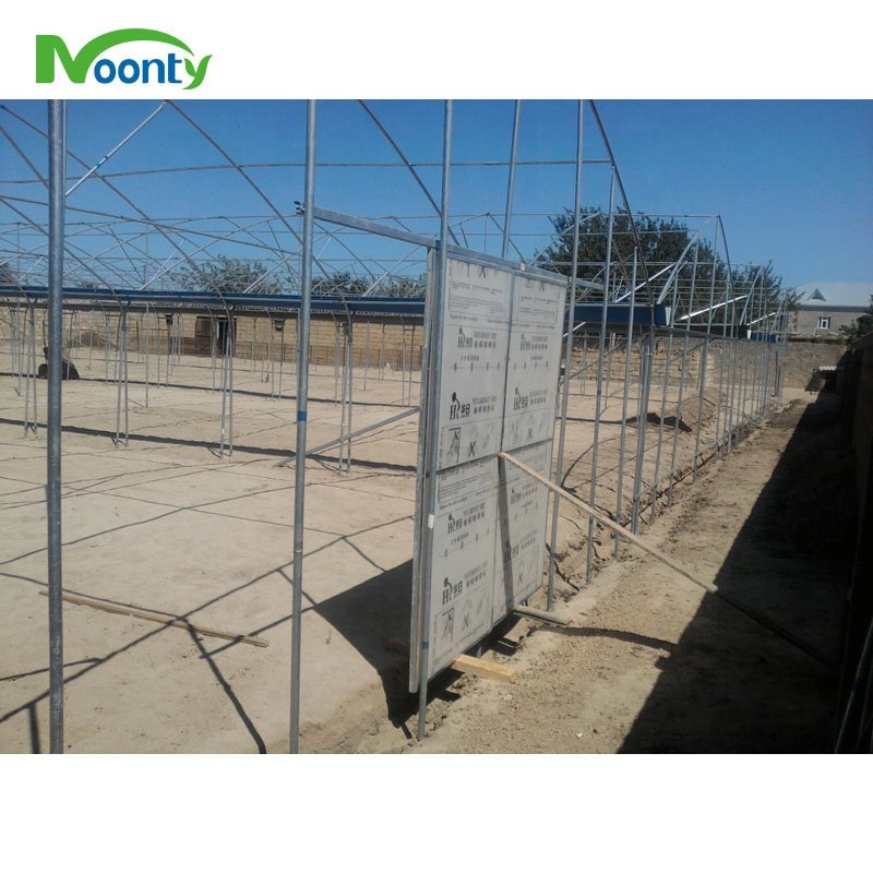 Economical Multi Span Agricultural Greenhouses
