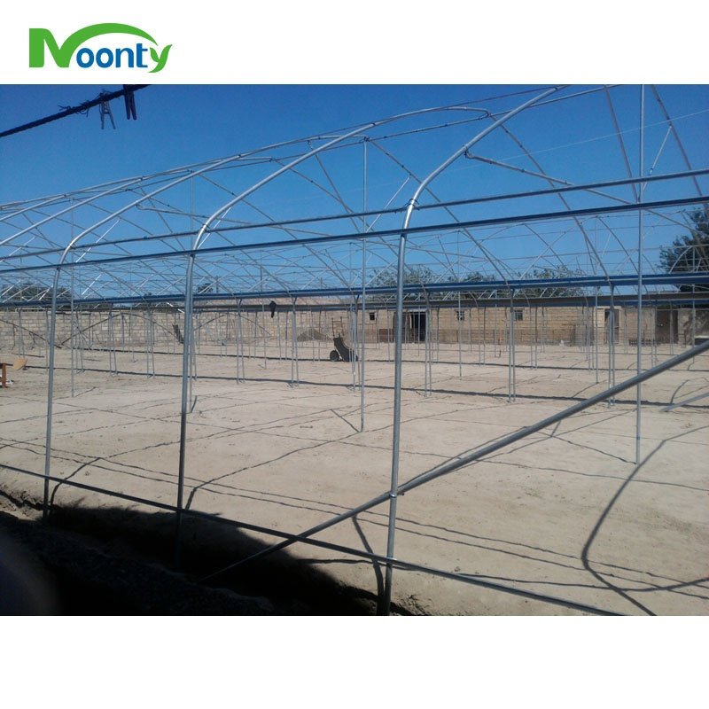 Economical Multi Span Agricultural Greenhouses