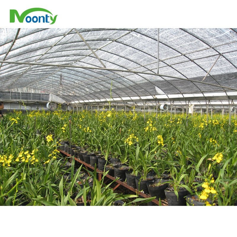 Economical Multi Span Agricultural Greenhouses