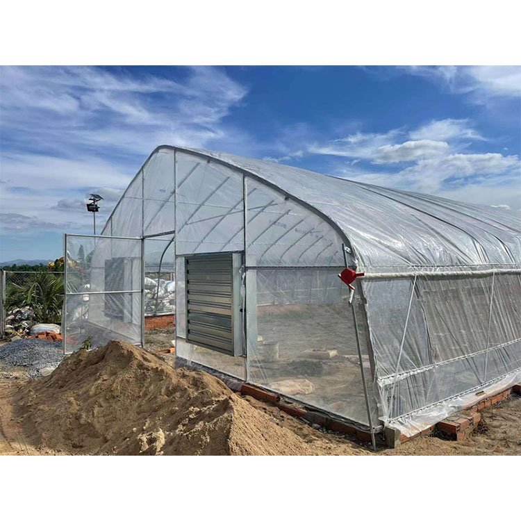 Single Span Big High Tunnel Type Agricultural Greenhouse for Tomato Hydroponic growing Green House