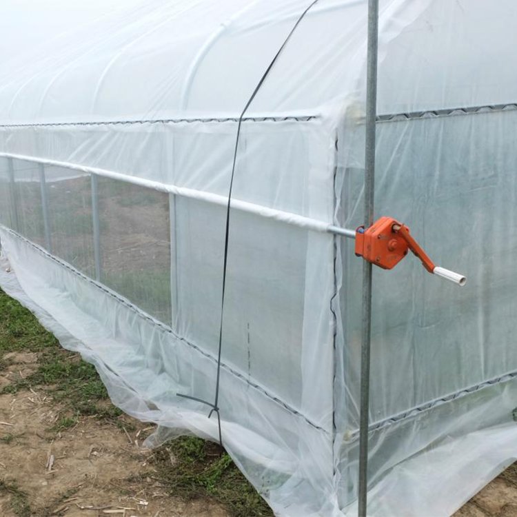 10*30m Single-span Cheap Galvanized Frame Greenhouse Tunnels Poly House Agriculture Greenhouse For Outdoor