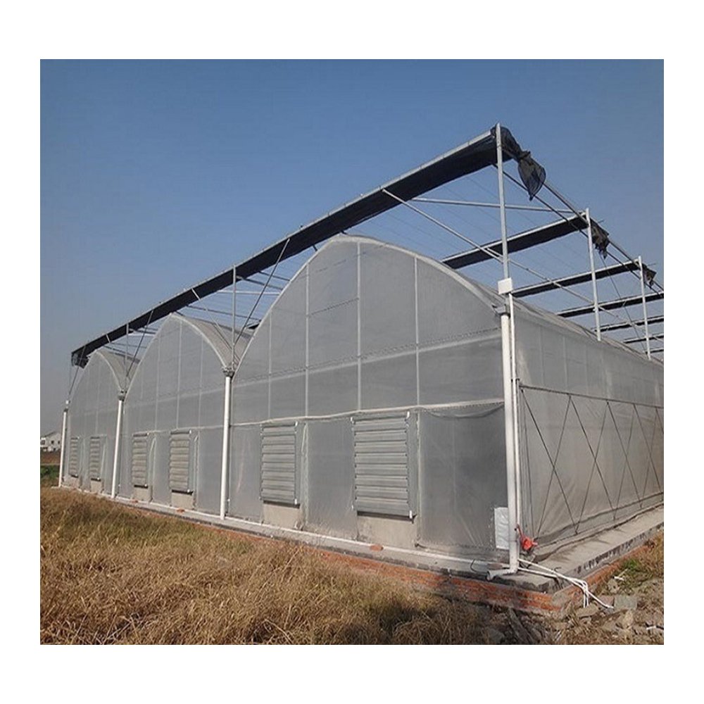 China Hot Sale Commercial Large Hydroponic Multi Span Greenhouse With Tomato Growing System