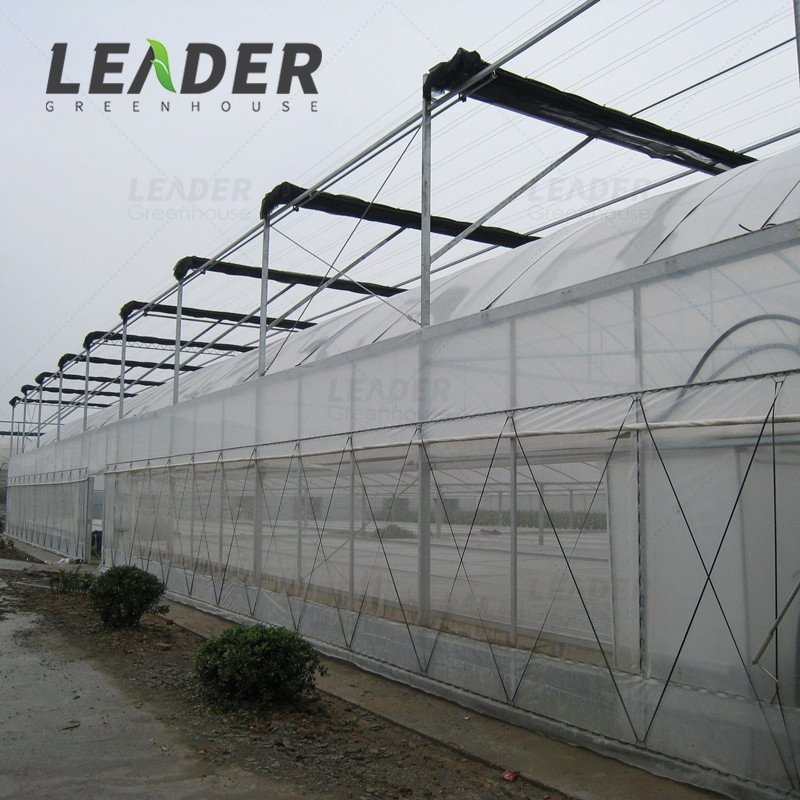 Hot Sale HDPE 40Mesh 65gsm Anti Proof Insect Net For Agricultural Tunnel Vegetable Greenhouse Side Ventilation System Insect Net