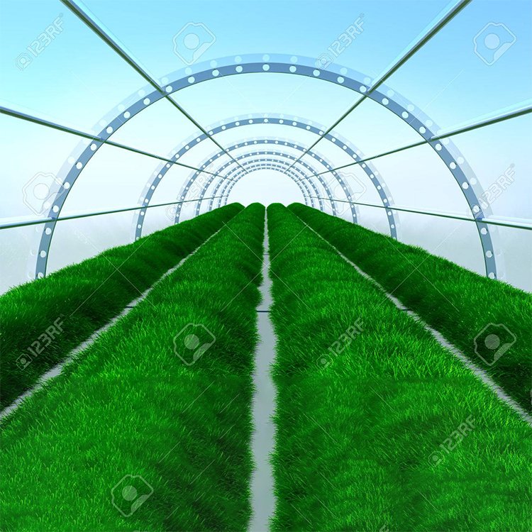 High quality hydroponic rose private label plastic greenhouses for sale