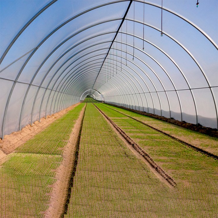 High quality hydroponic rose private label plastic greenhouses for sale