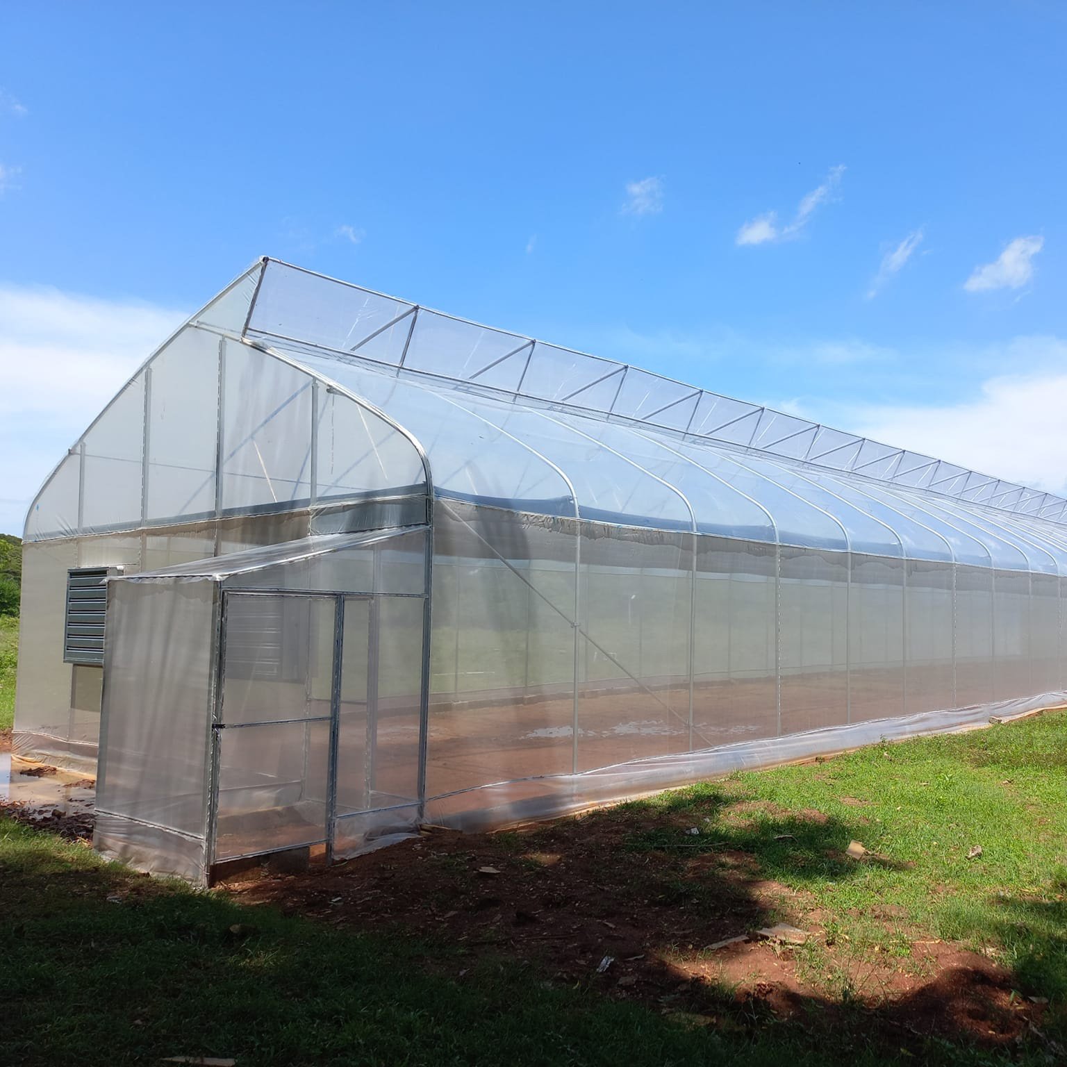 BAOLIDA Tropical Area Plants Growing Plastic Film Tunnel Sawtooth Greenhouse With Ventilation System