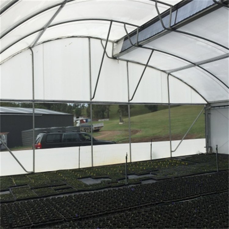 BAOLIDA Tropical Area Plants Growing Plastic Film Tunnel Sawtooth Greenhouse With Ventilation System