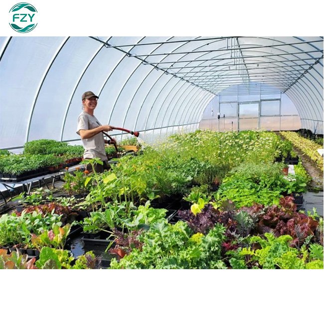 300 Square meter in stock low cost single span vegetable tunnel greenhouse green house used for sale