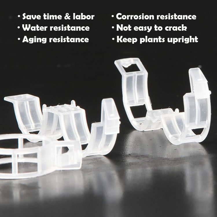 High Quality Tomato Clips Tomato Grafting Clips Greenhouse Small Growing Tomato Planting Galvanized Steel Wire 2.3cm