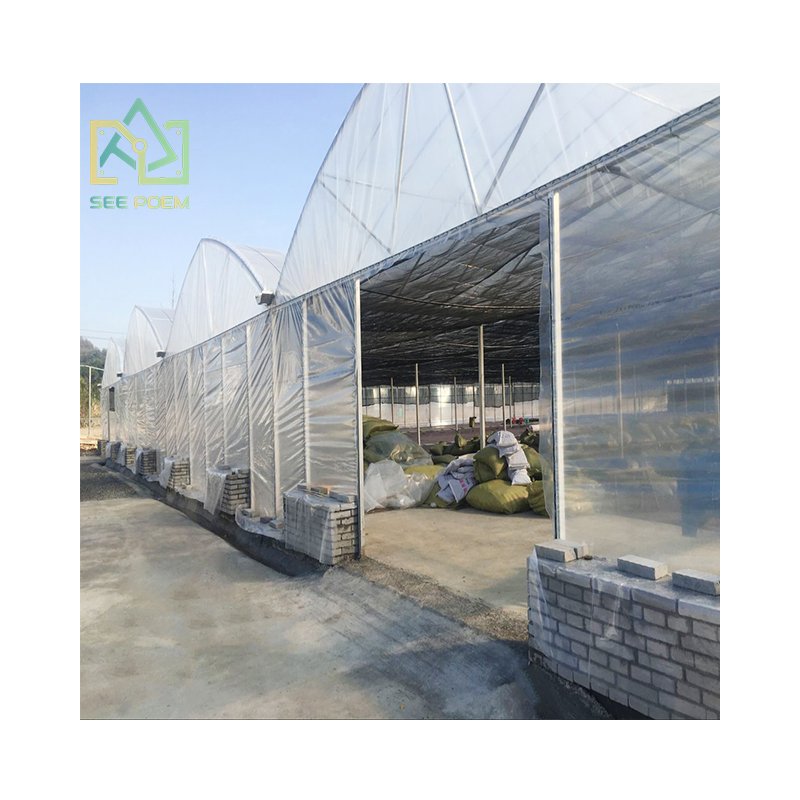 The new economic tunnel plastic agricultural film Multi-span Greenhouses for Flower growing