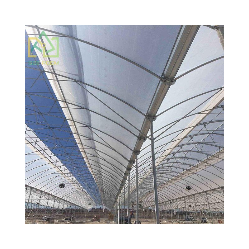 The new economic tunnel plastic agricultural film Multi-span Greenhouses for Flower growing
