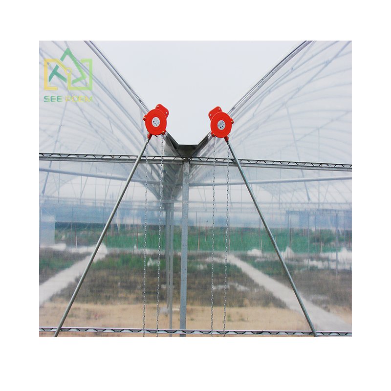 The new economic tunnel plastic agricultural film Multi-span Greenhouses for Flower growing