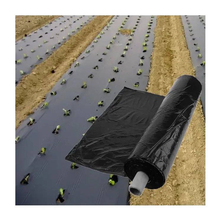 Weedmat Control Polypropylene Ground Cover black Agriculture Mulch Film plastic barrier weed mat for agriculture farm