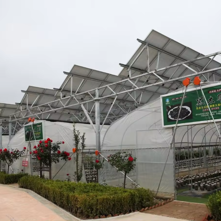 Photovoltaic Greenhouse Multi-span Agricultural Solar Greenhouse Thailand Greenhouse