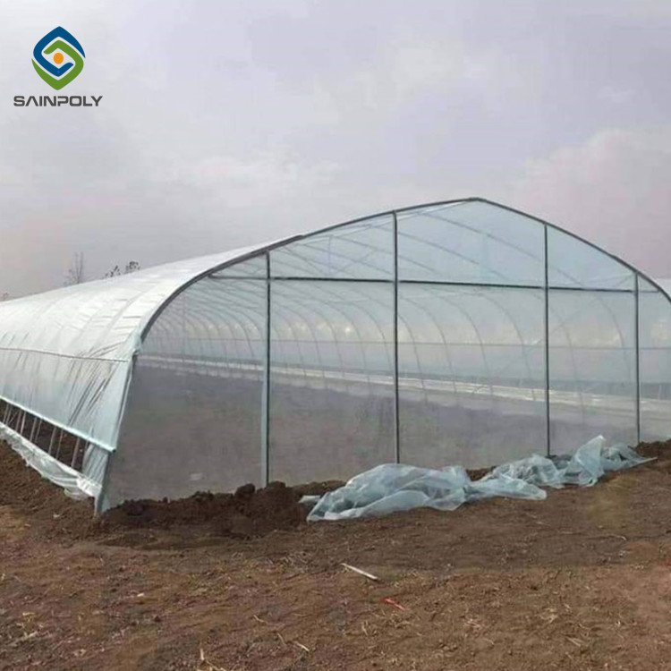 Sainpoly Low Cost Tunnel Greenhouse For Agricultural